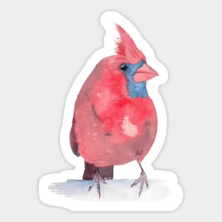 Northem cardinal red watercolor bird Sticker